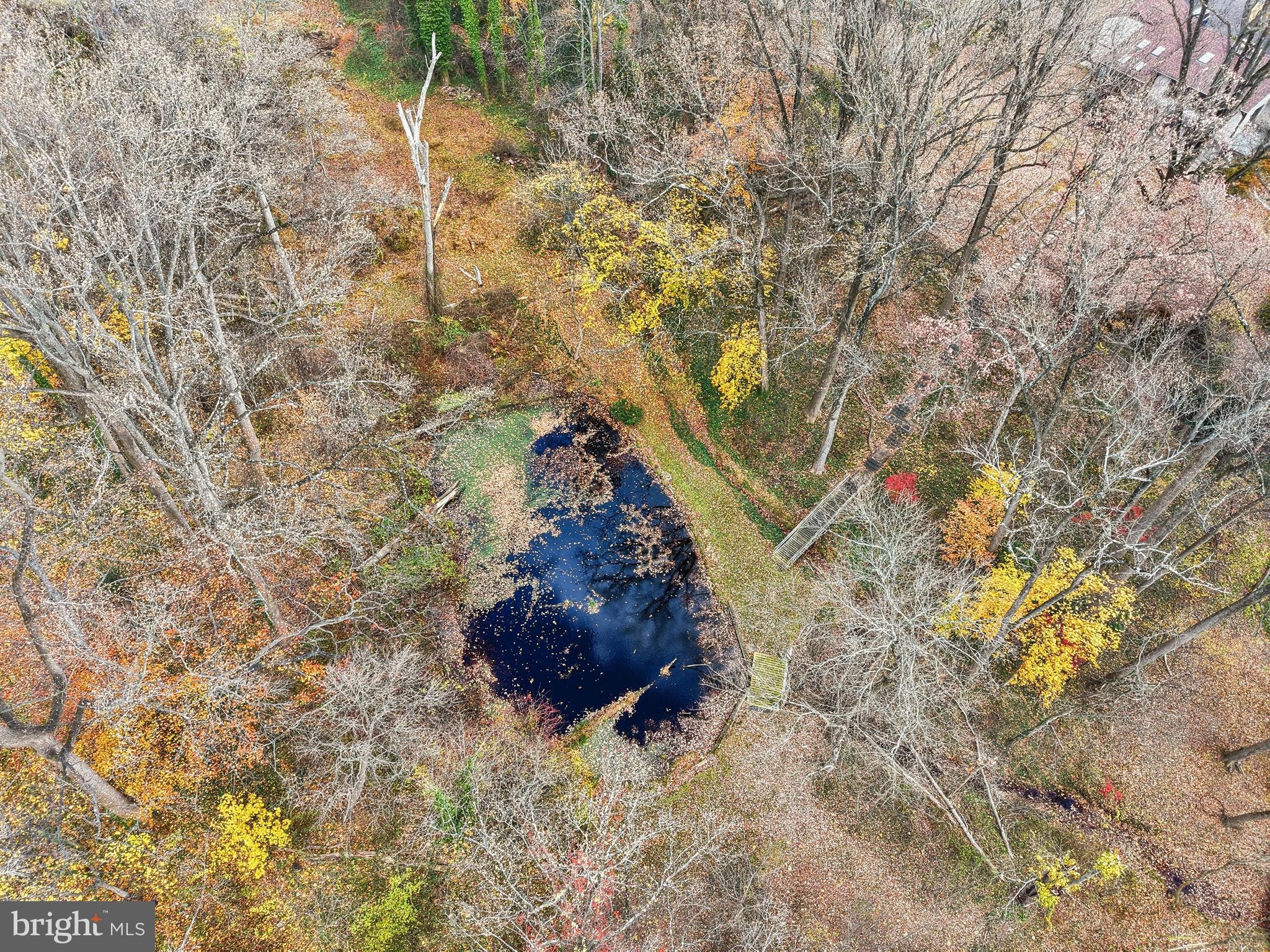 164 Trenton Road Langhorne, PA 19047 - Photo 45 of 51