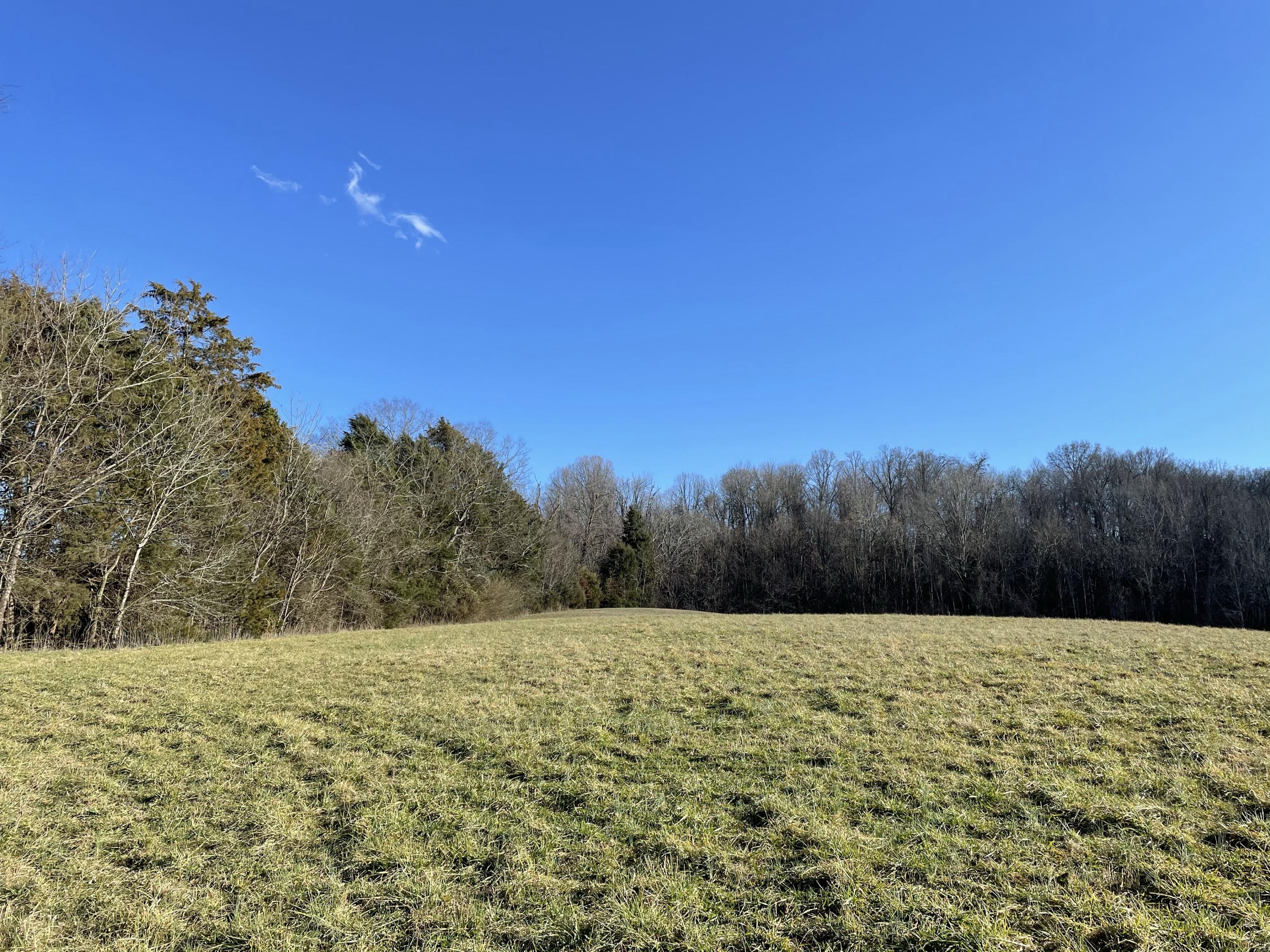 Good Hope Road Parrottsville, TN 37843 - Photo 11 of 14 11