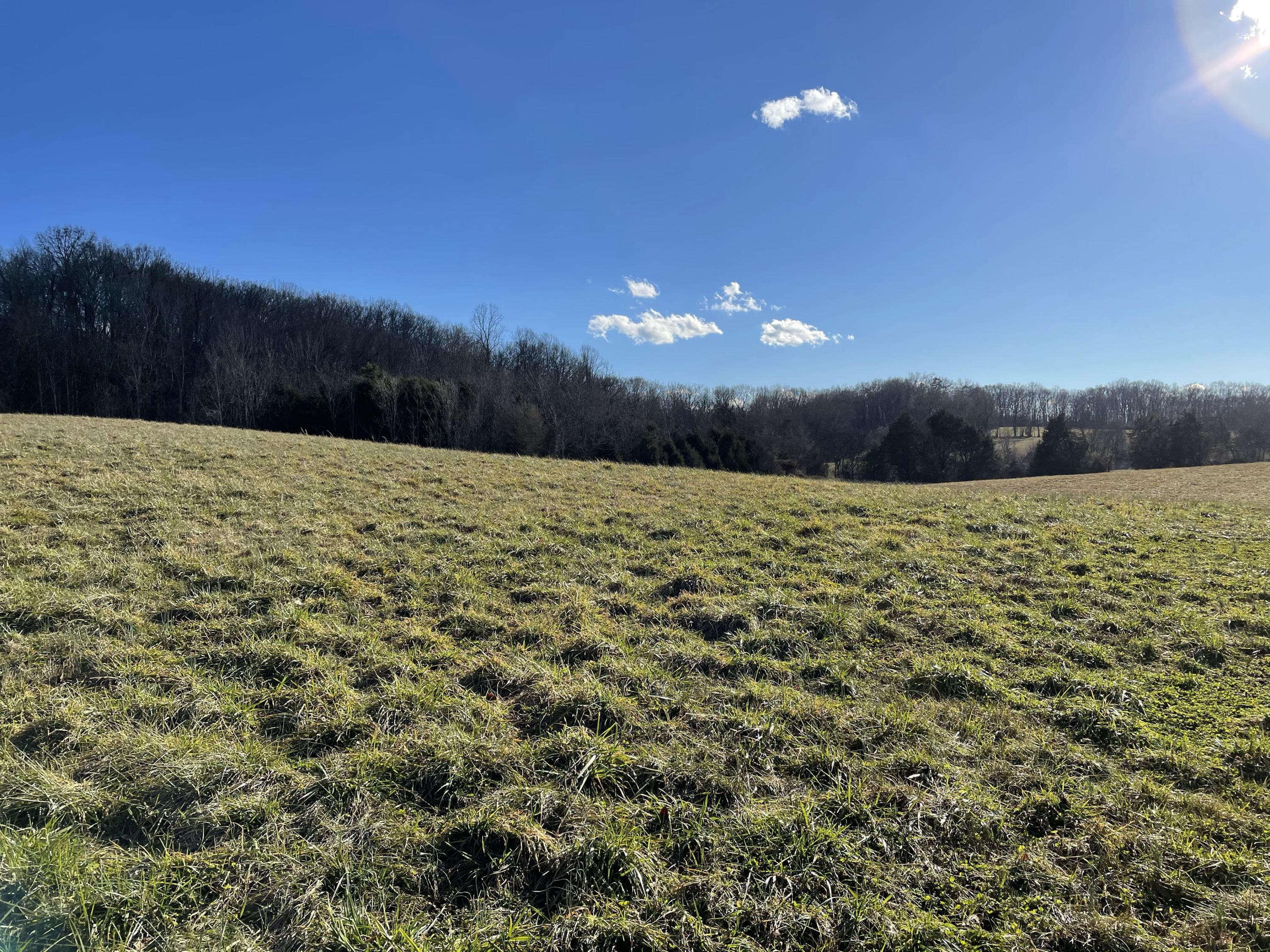 Good Hope Road Parrottsville, TN 37843 - Photo 12 of 14 12