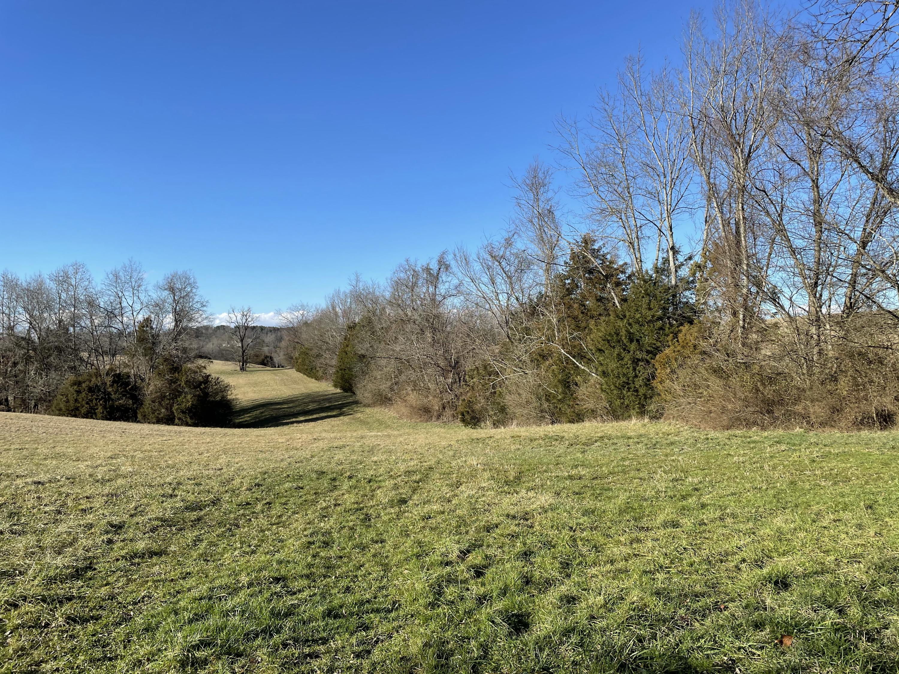 Good Hope Road Parrottsville, TN 37843 - Photo 13 of 14 13