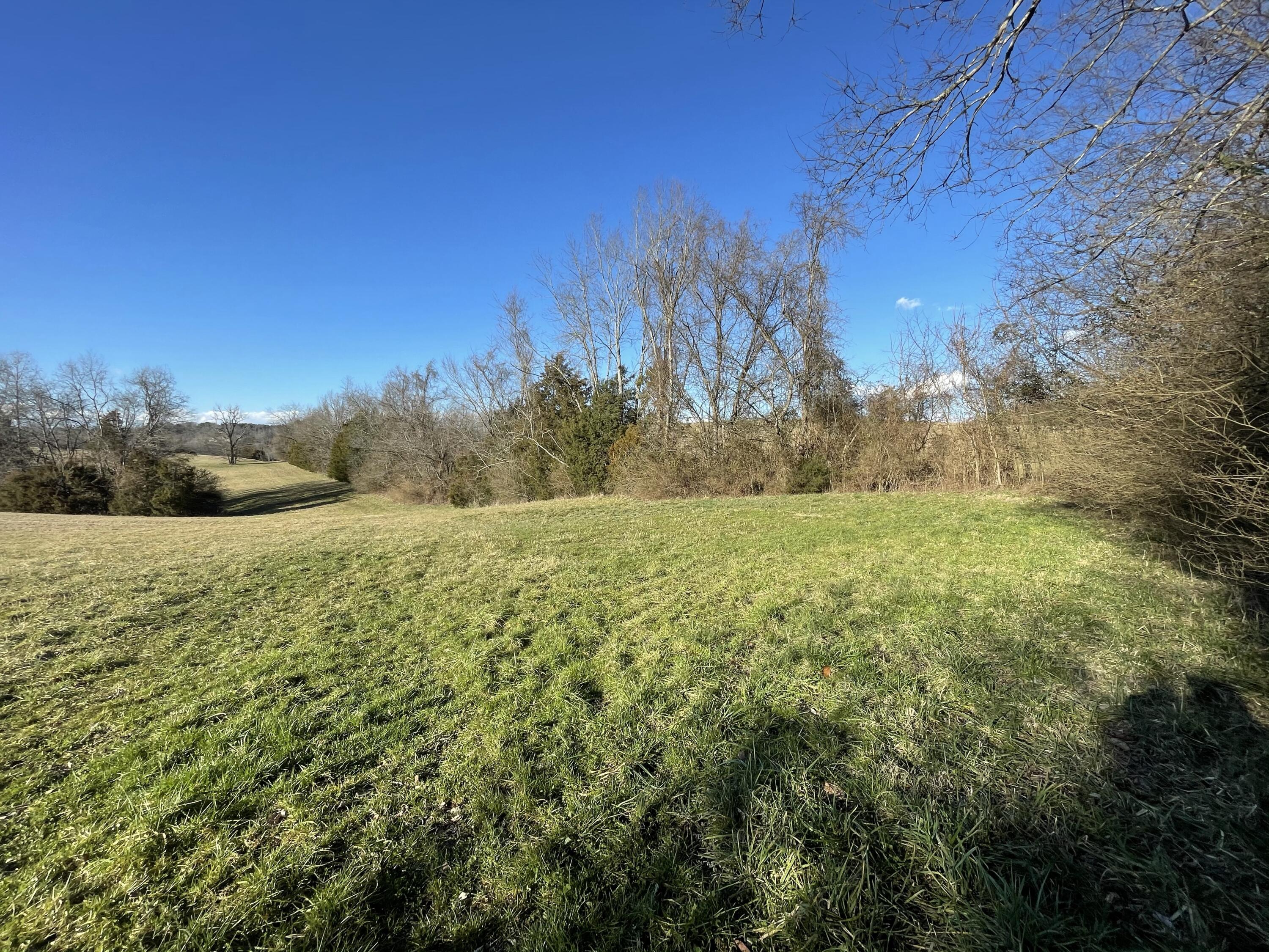 Good Hope Road Parrottsville, TN 37843 - Photo 14 of 14 14