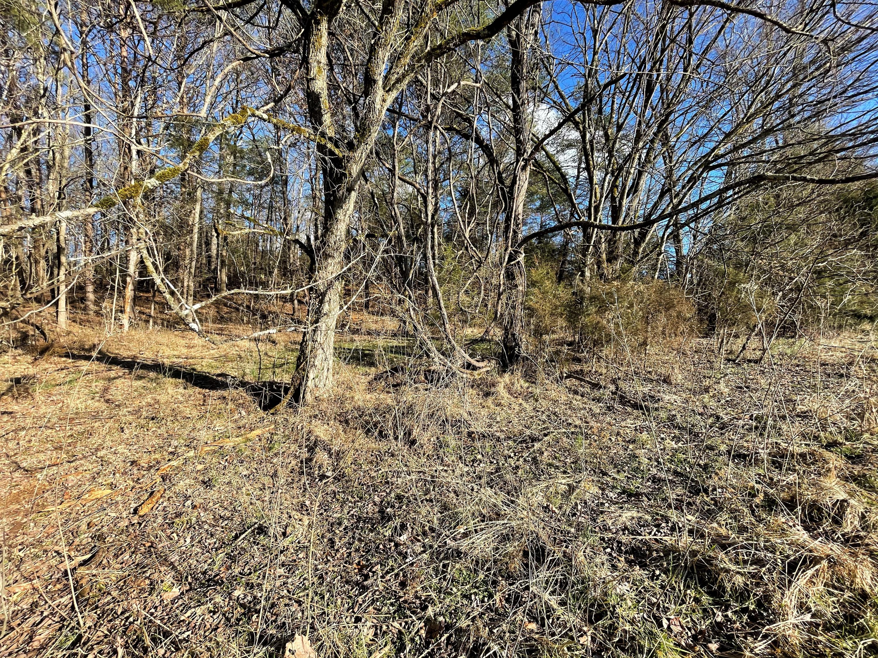 Good Hope Road Parrottsville, TN 37843 - Photo 8 of 14 8