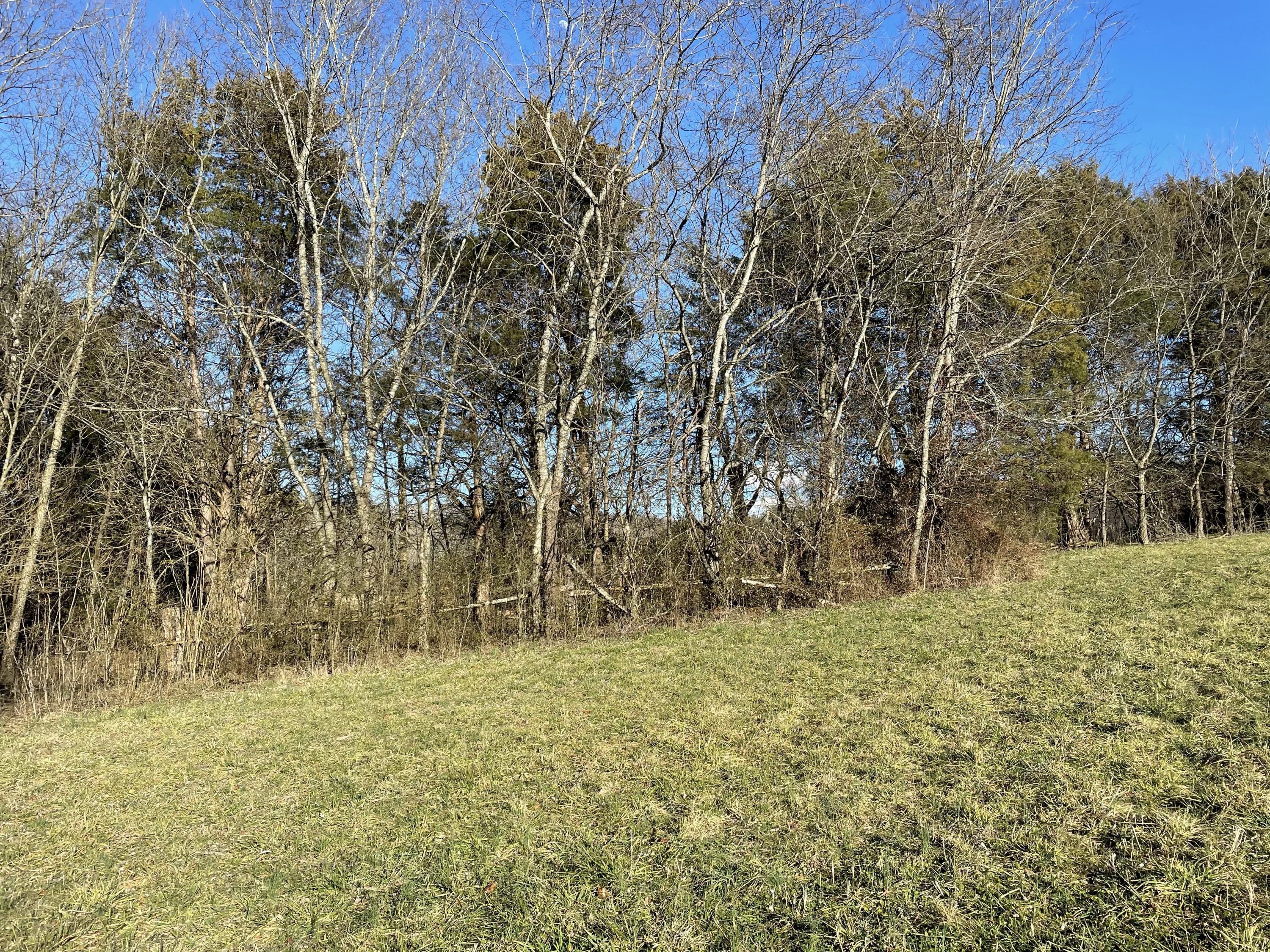 Good Hope Road Parrottsville, TN 37843 - Photo 9 of 14 9