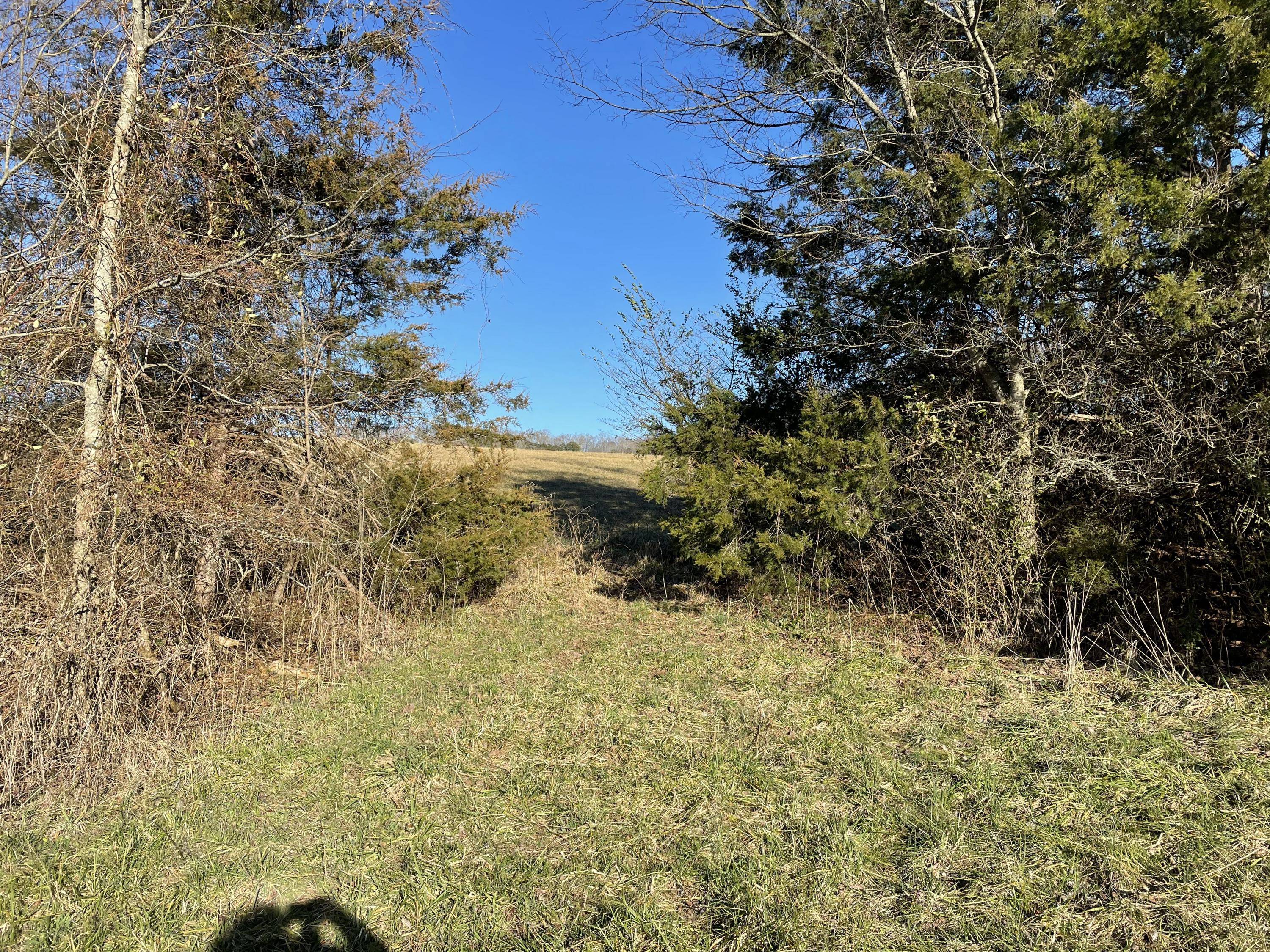 Good Hope Road Parrottsville, TN 37843 - Photo 10 of 14 10