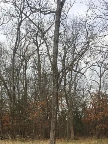 $4,990 | 29 Candlelight Drive, Mound City, KS 66056