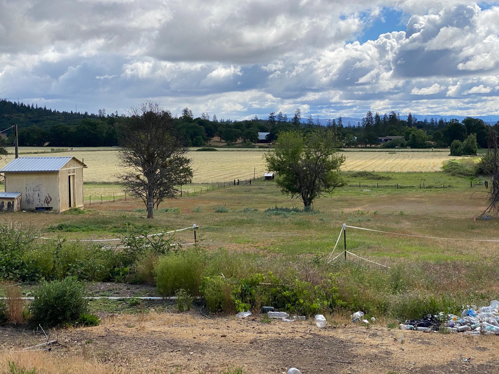 8500 Ramsey Road Gold Hill, OR 97525 - Photo 18 of 34 IMG_2944