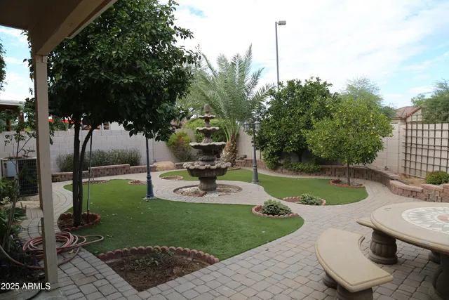 a view of a garden with plants