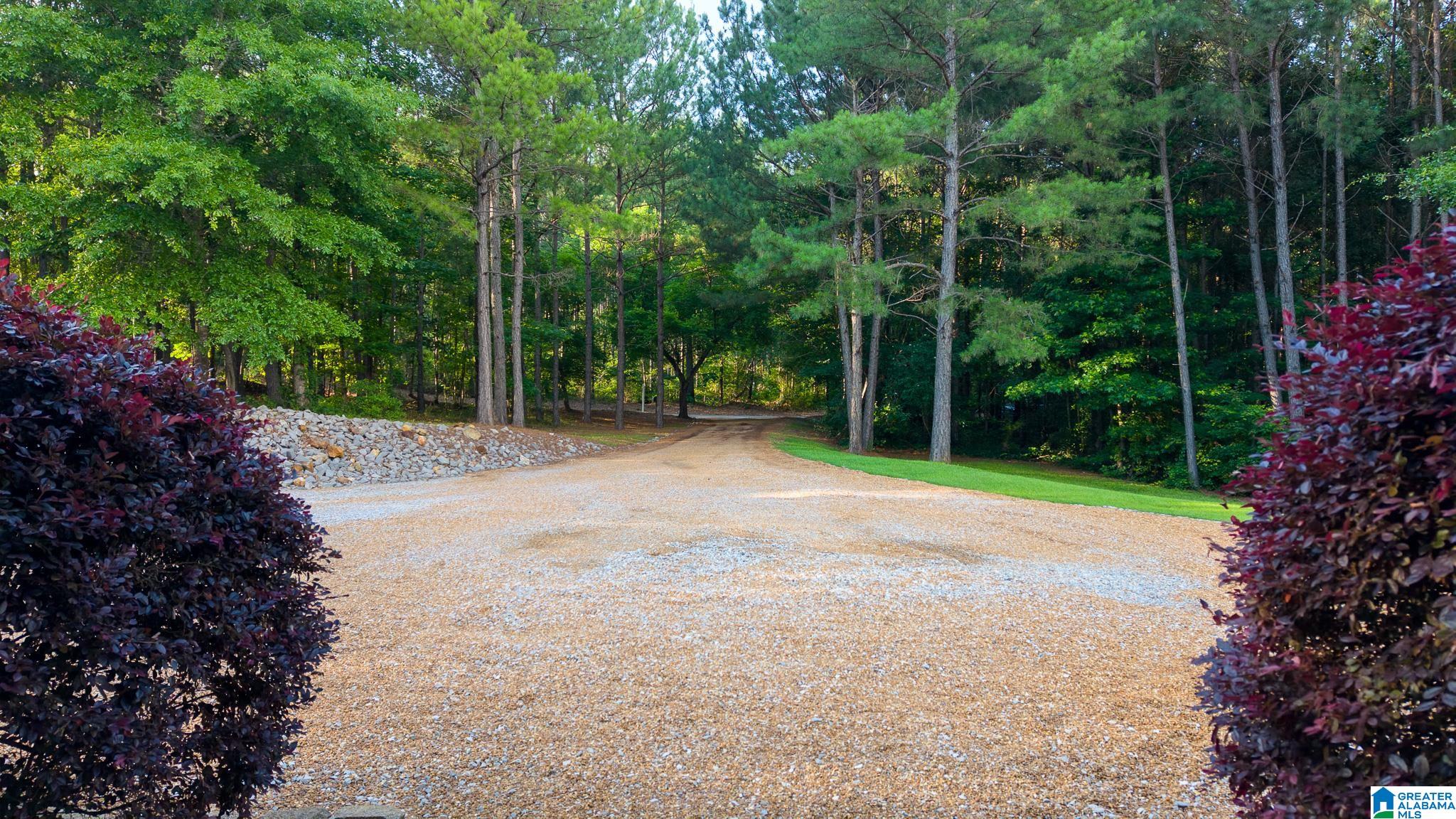 1250 Crossover Road Cropwell, AL 35054 - Photo 58 of 66