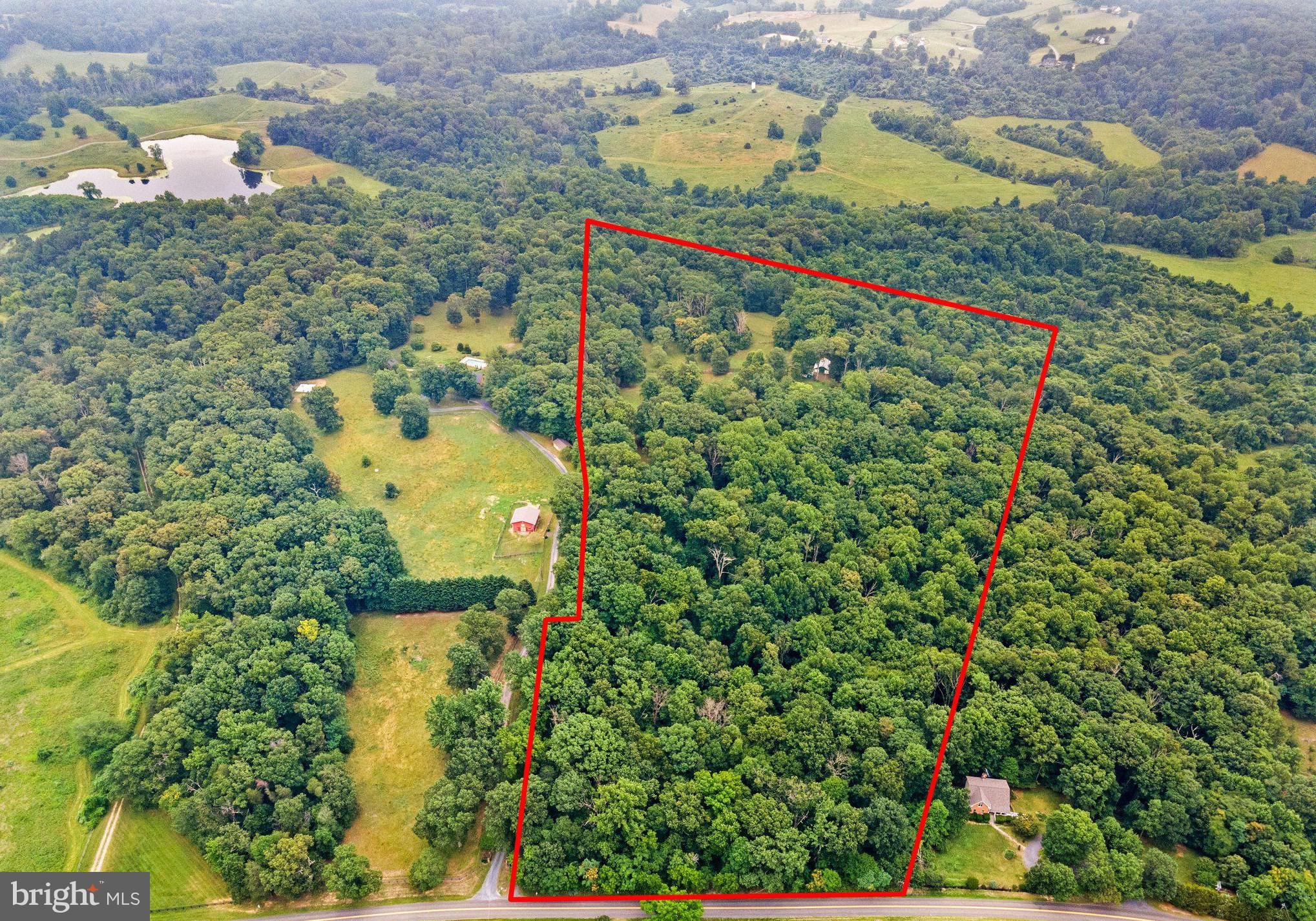 6301 Leeds Manor Road Marshall, VA 20115 - Photo 15 of 16 Expansive wooded retreat awaits you.