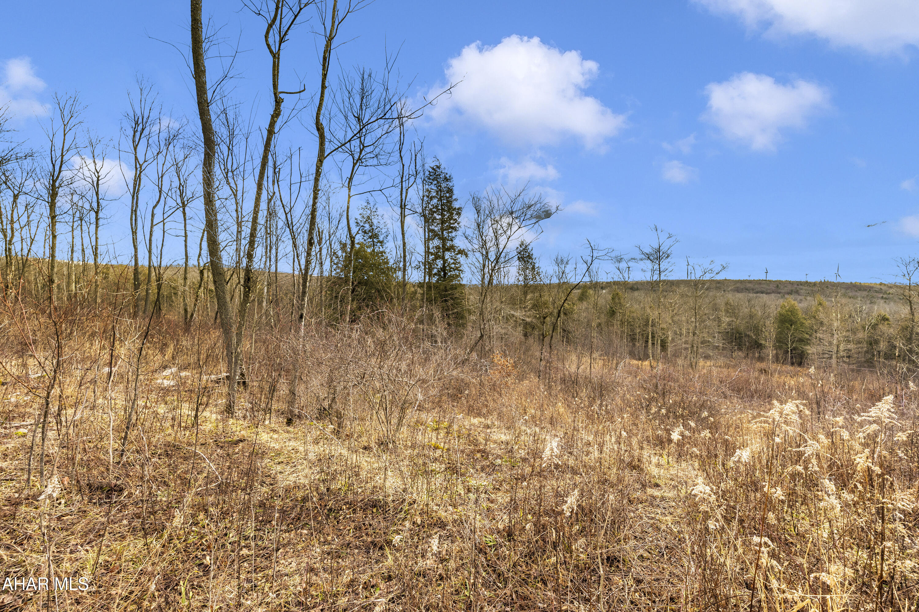0 Lot 6 Mountain Road Road Lilly, PA 15938 - Photo 28 of 33