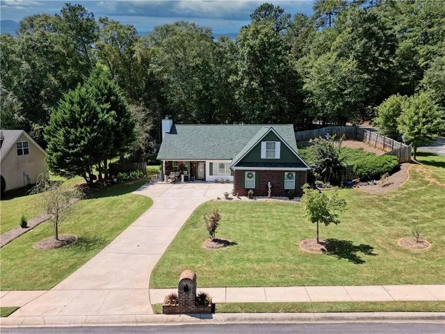 a view of a backyard with potted plants and large trees