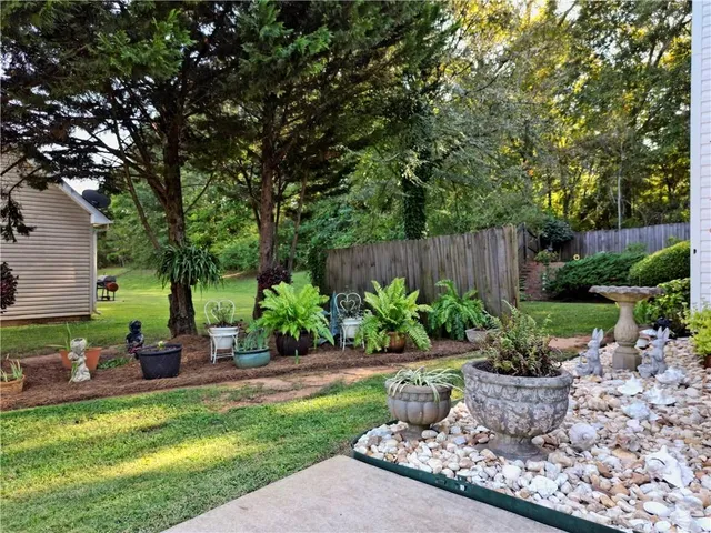 a view of a backyard with potted plants and large tree