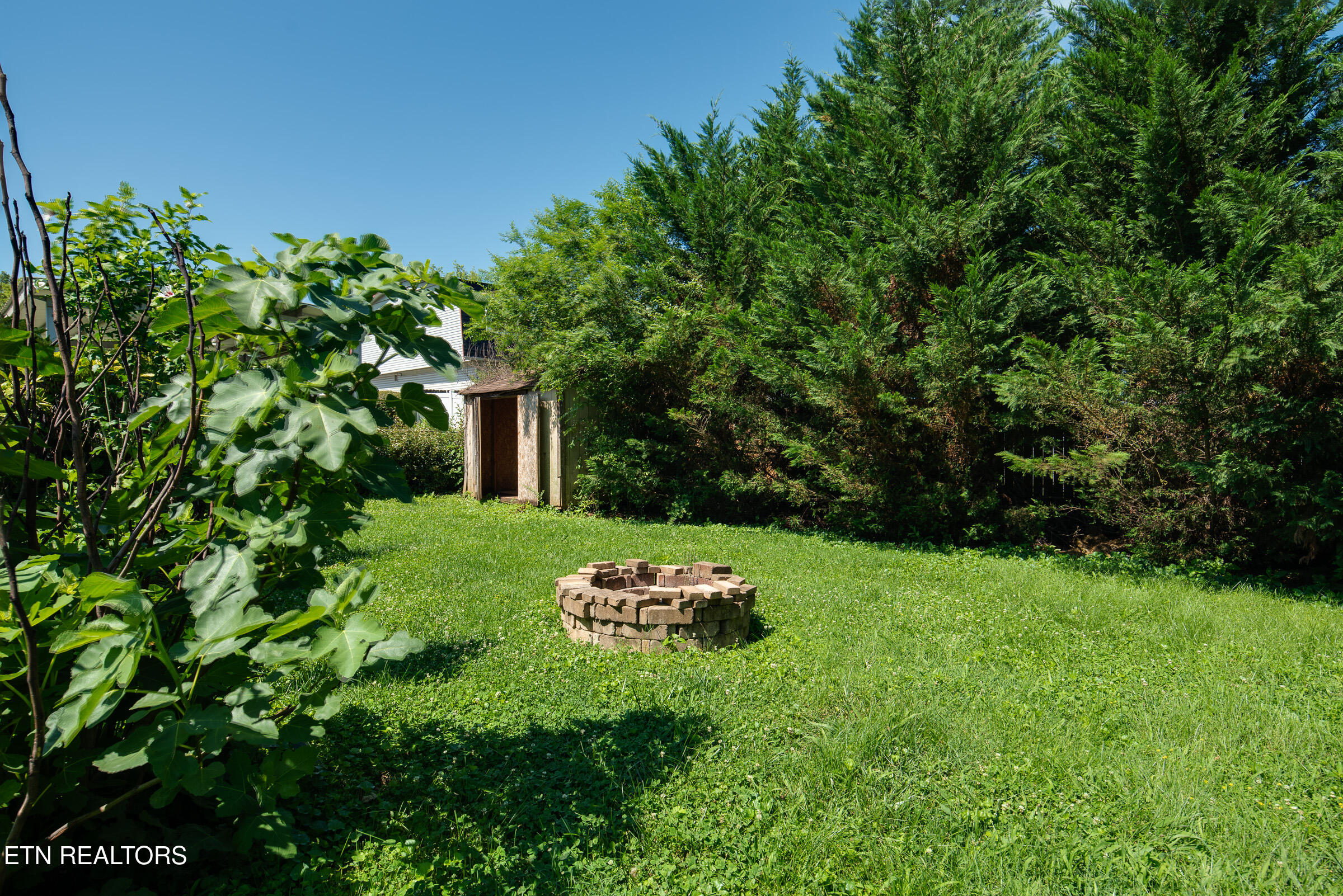 813 Naples Road Knoxville, TN 37923 - Photo 24 of 30 Backyard with Shed 1