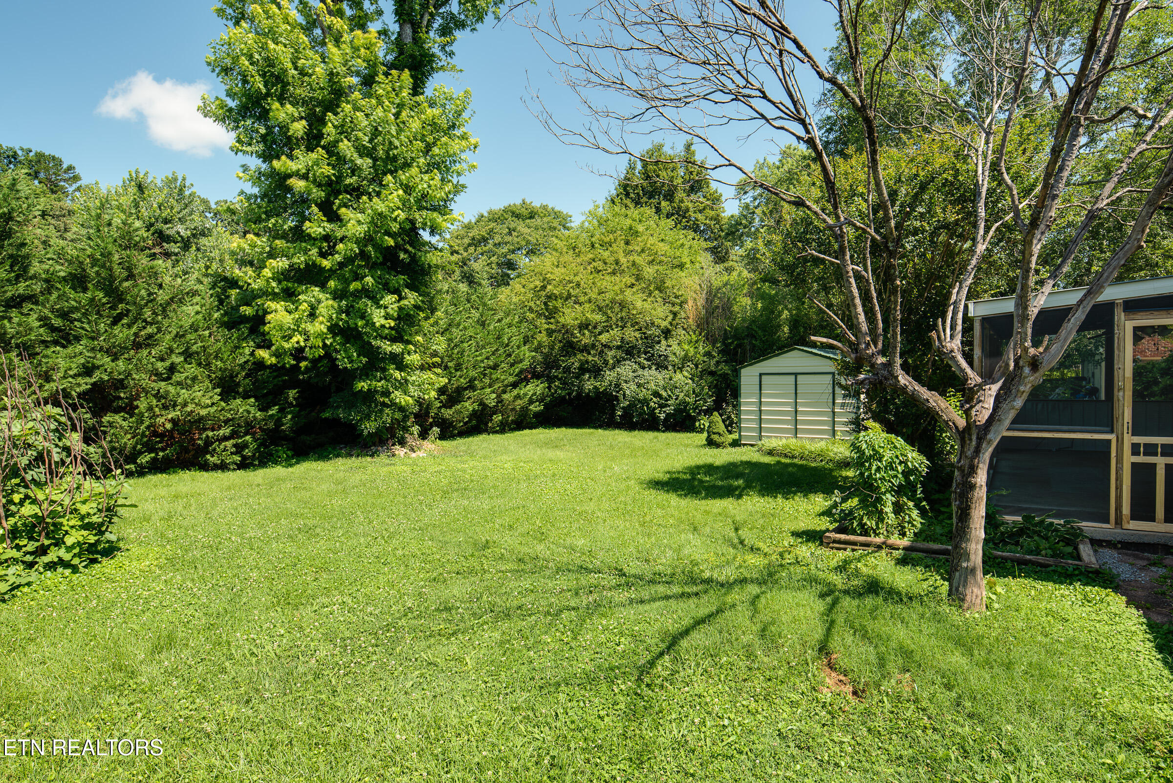 813 Naples Road Knoxville, TN 37923 - Photo 25 of 30 Trees for Privacy