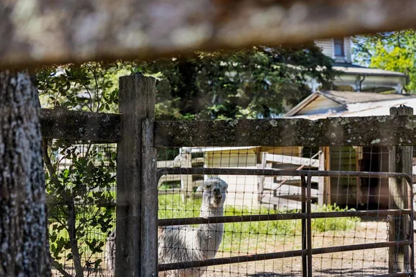 $1,900,000 | 21730 Burndale Road, Sonoma, CA 95476