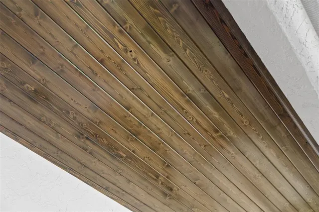 a close view of backyard