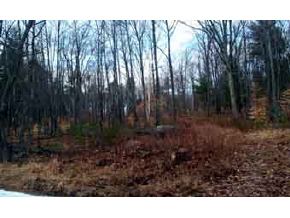 0 Hatch Road Gilmanton, NH 03246 - Photo 4 of 4