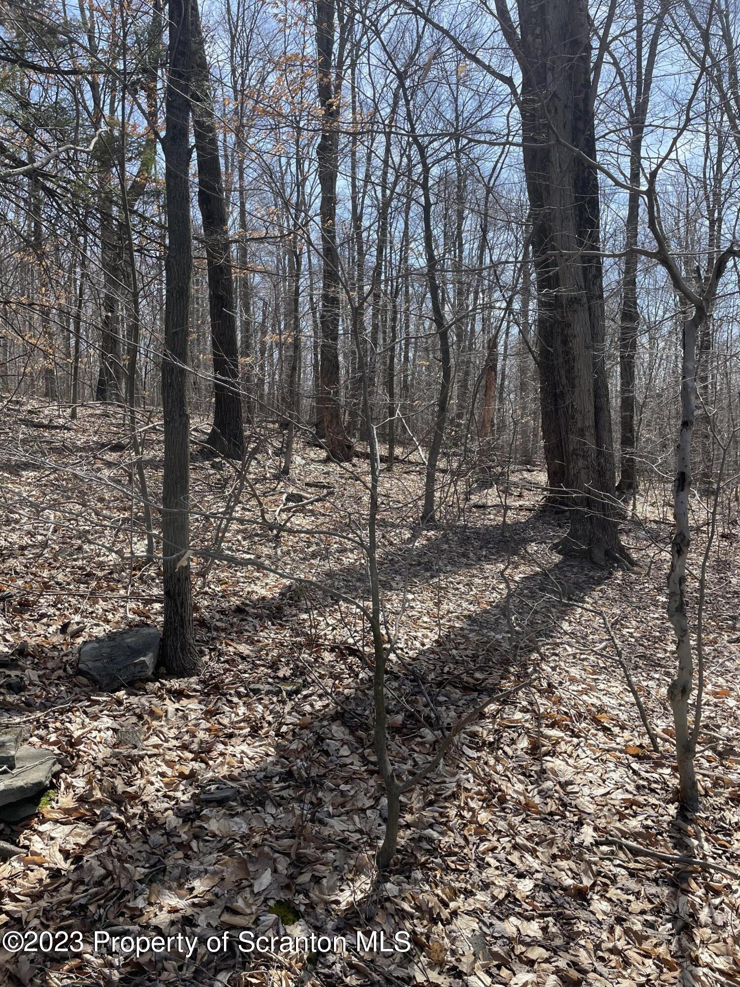 68 Summit Woods Road Moscow, PA 18444 - Photo 4 of 6 Land 1