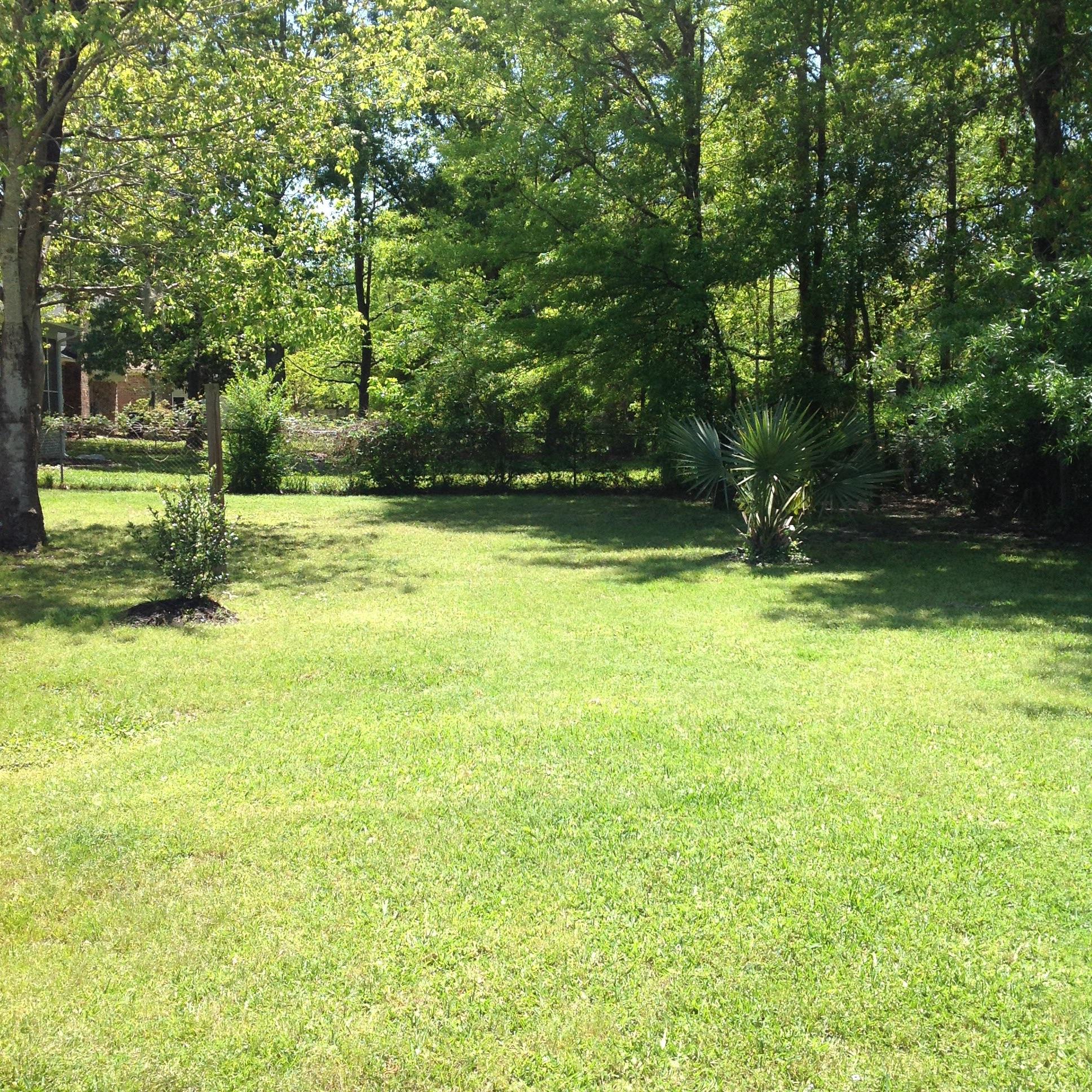 757 Wexford Road Charleston, SC 29414 - Photo 3 of 14 WexBackYard