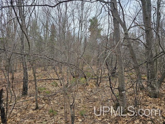 40-acres 40-acres Off Co Road Ishpeming, MI 49849 - Photo 2 of 4