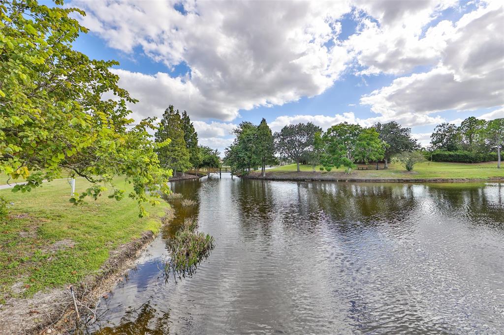 5409 Hammock View Lane Apollo Beach, FL 33572 - Photo 64 of 68 a view of a lake with a yard