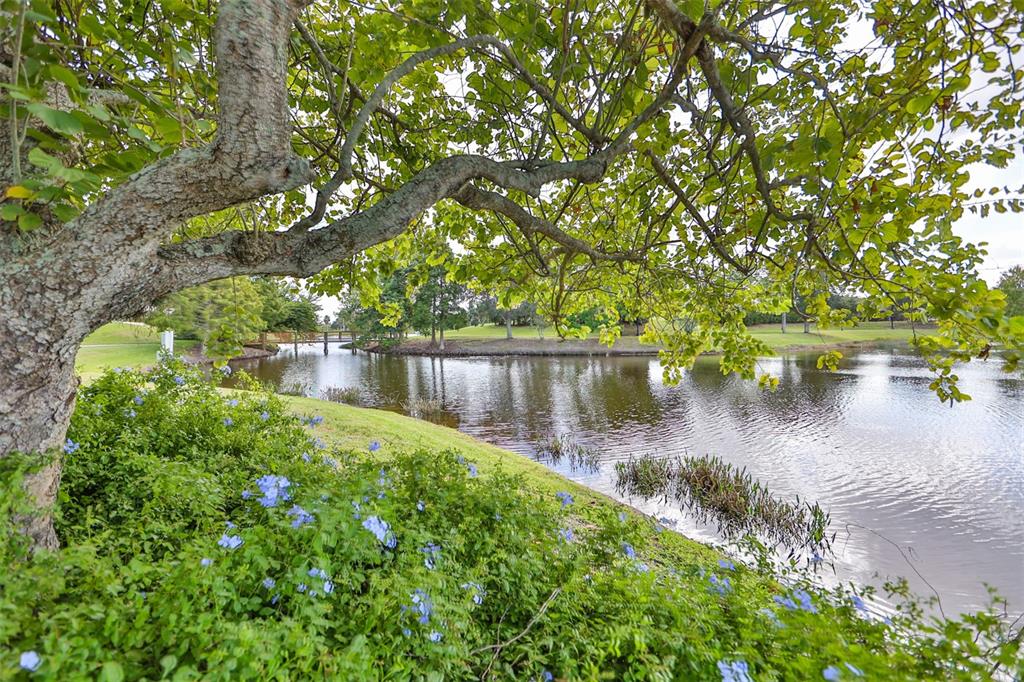 5409 Hammock View Lane Apollo Beach, FL 33572 - Photo 65 of 68