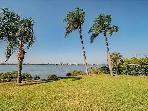 a view of a lake with a palm tree
