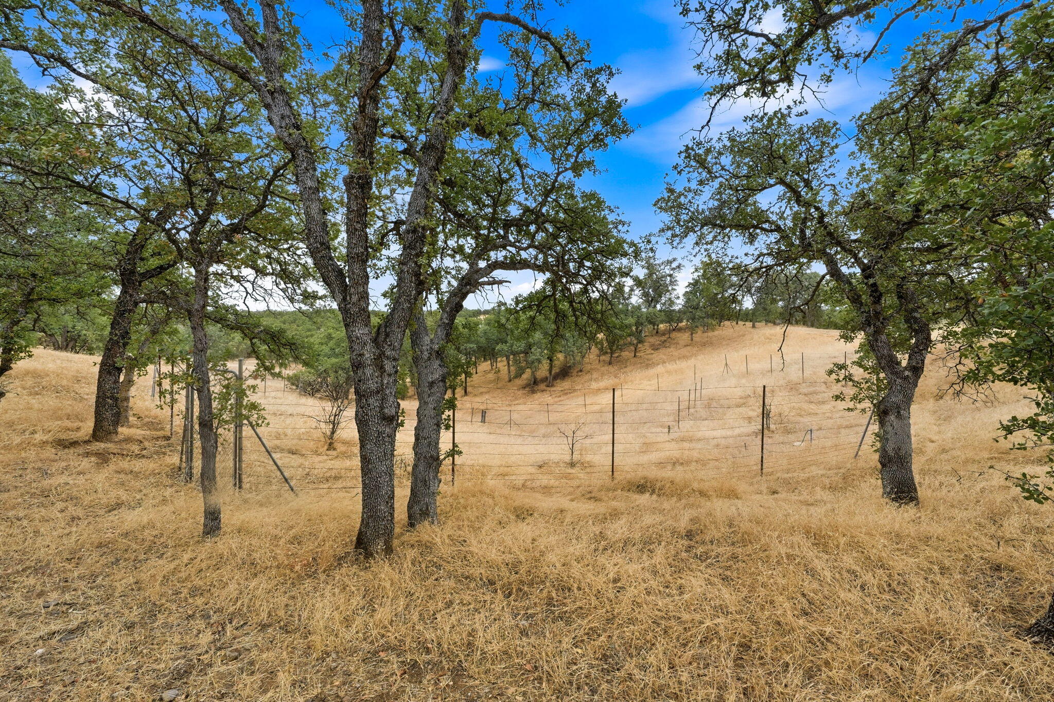 18221 Quail Ridge Road Cottonwood, CA 96022 - Photo 42 of 48 Fenced area/used to have fruit trees