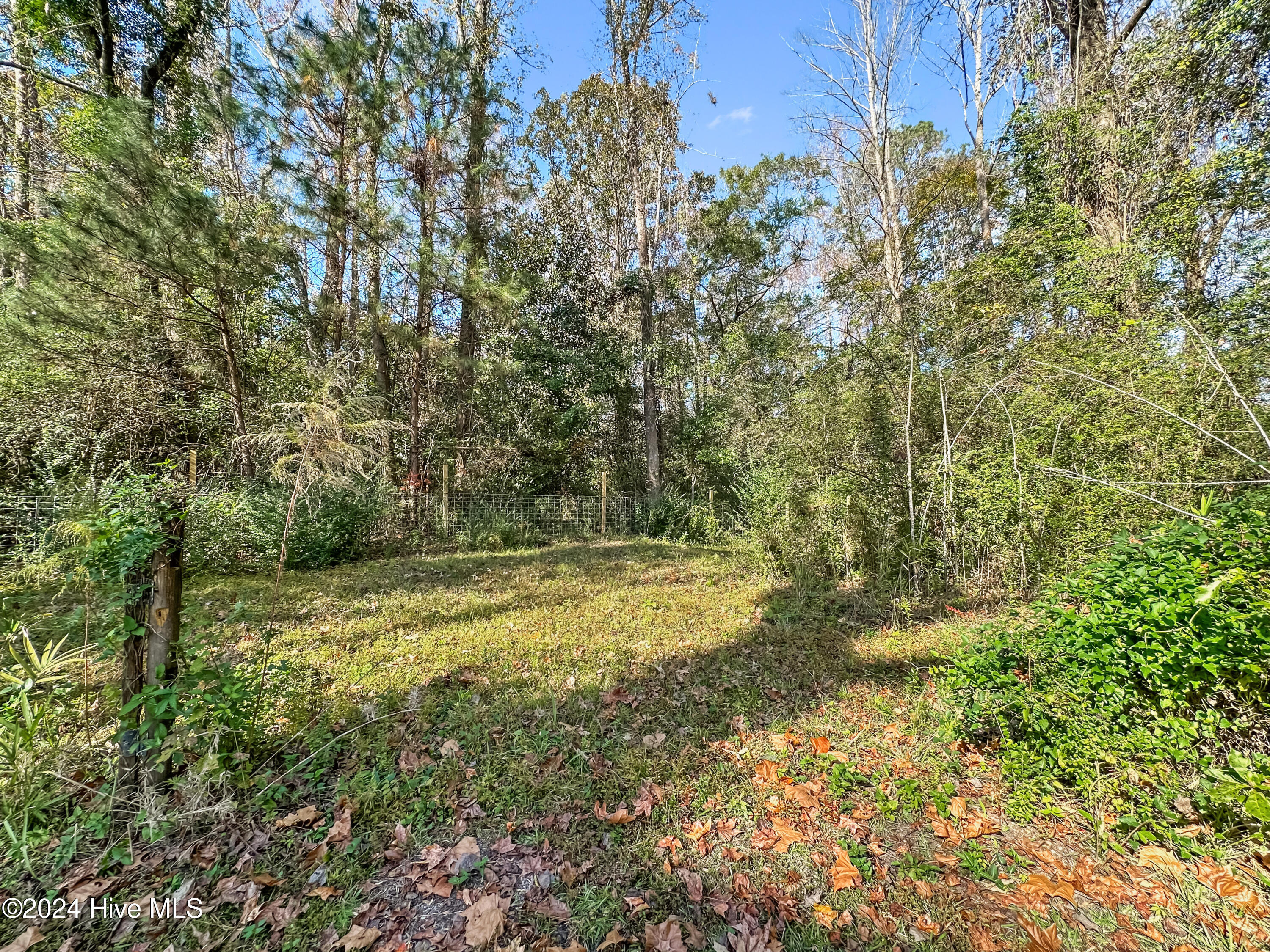 694 Haws Run Road Jacksonville, NC 28540 - Photo 37 of 49 Back of Property