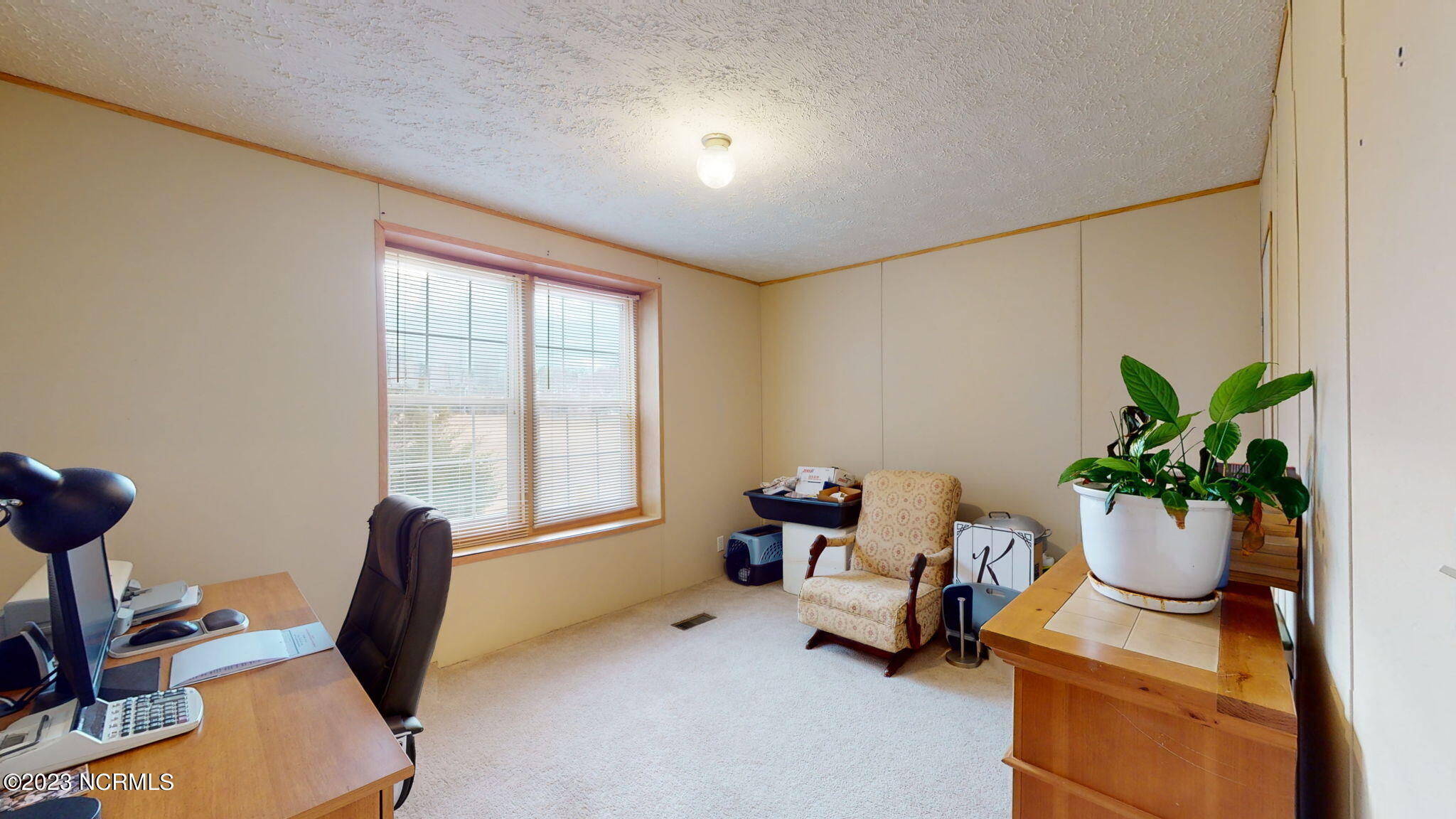 360 Mosely Road Walstonburg, NC 27888 - Photo 27 of 40 34-web-or-mls-360-Mosely-Rd-Walstonburg-