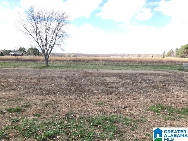 838 Monroe Nunley Road Toney, AL 35773 - Photo 19 of 19