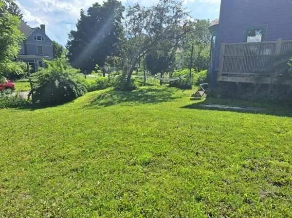 $685,000 | 231 South Rusk Avenue, Viroqua, WI 54665