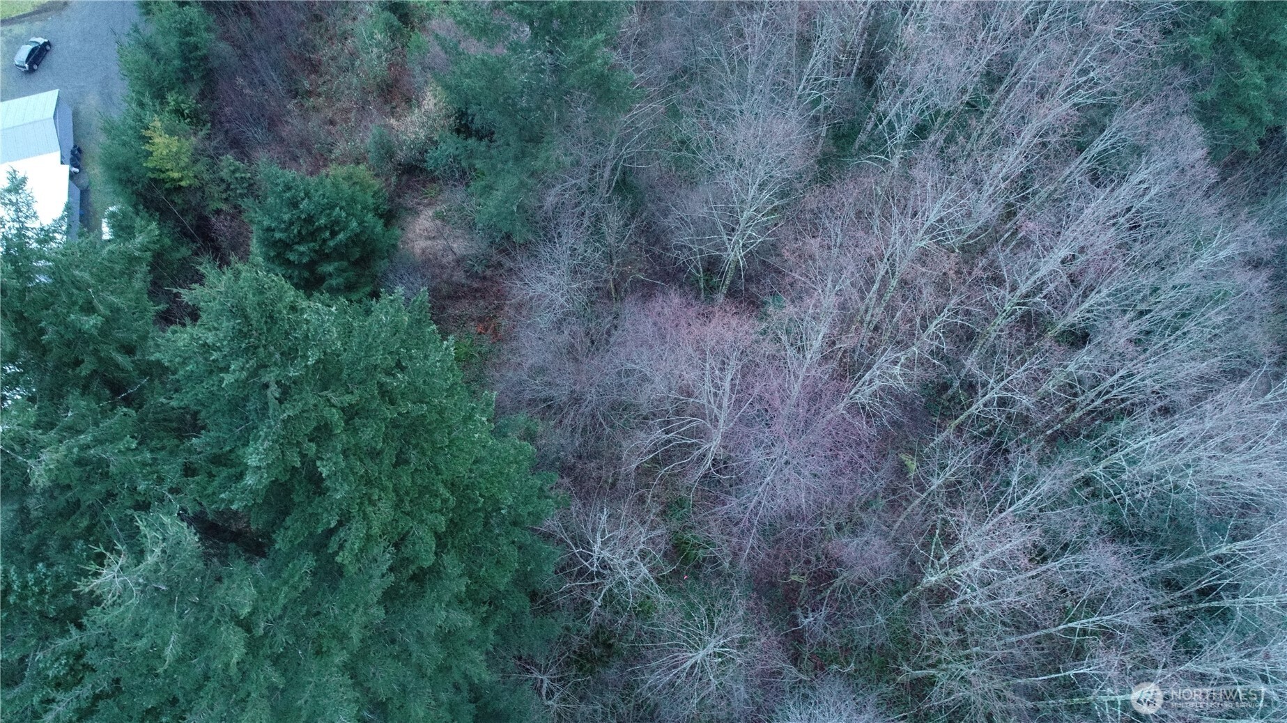 a view of a dry yard