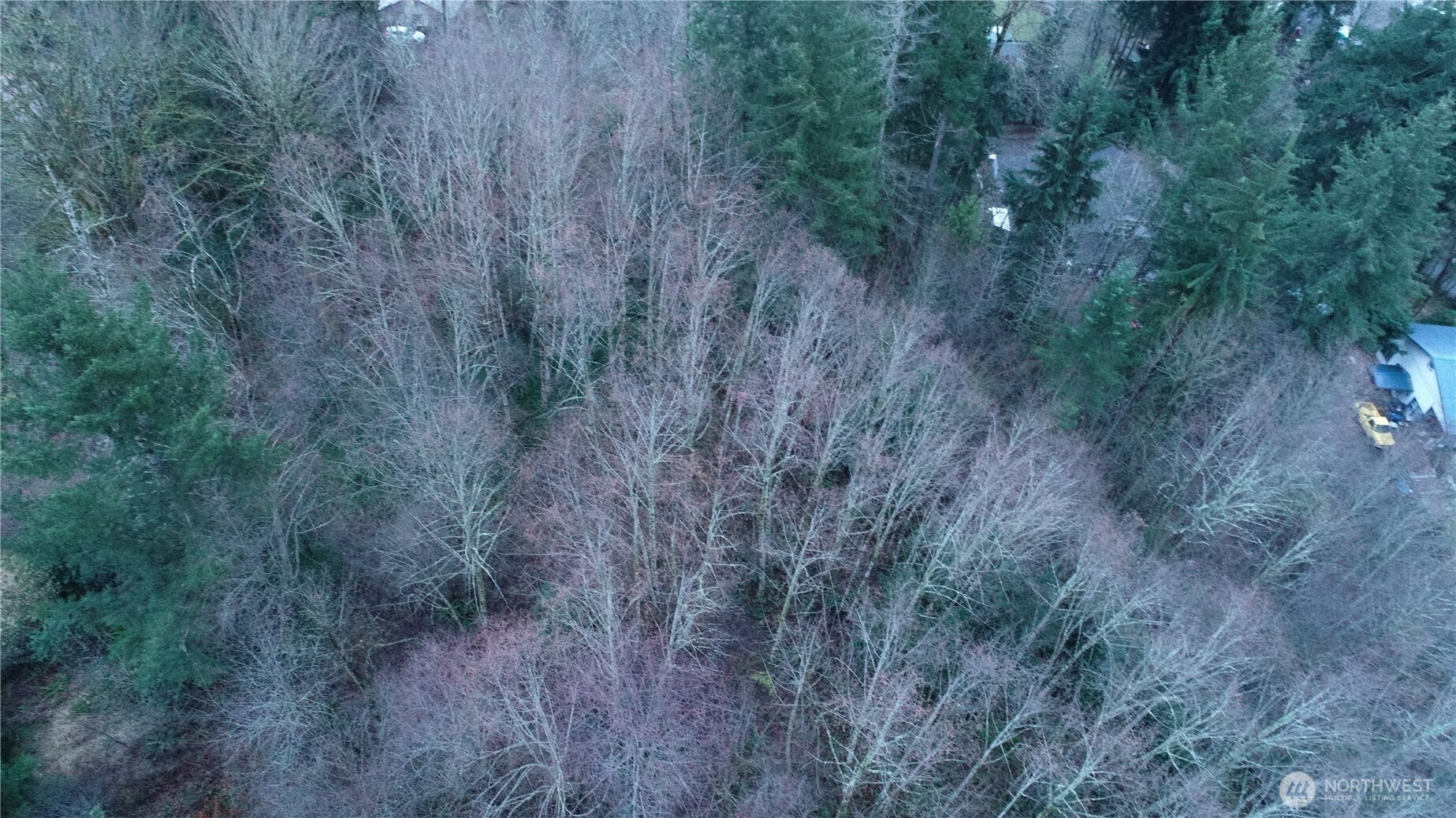 0 North 2nd Street Morton, WA 98356 - Photo 11 of 17