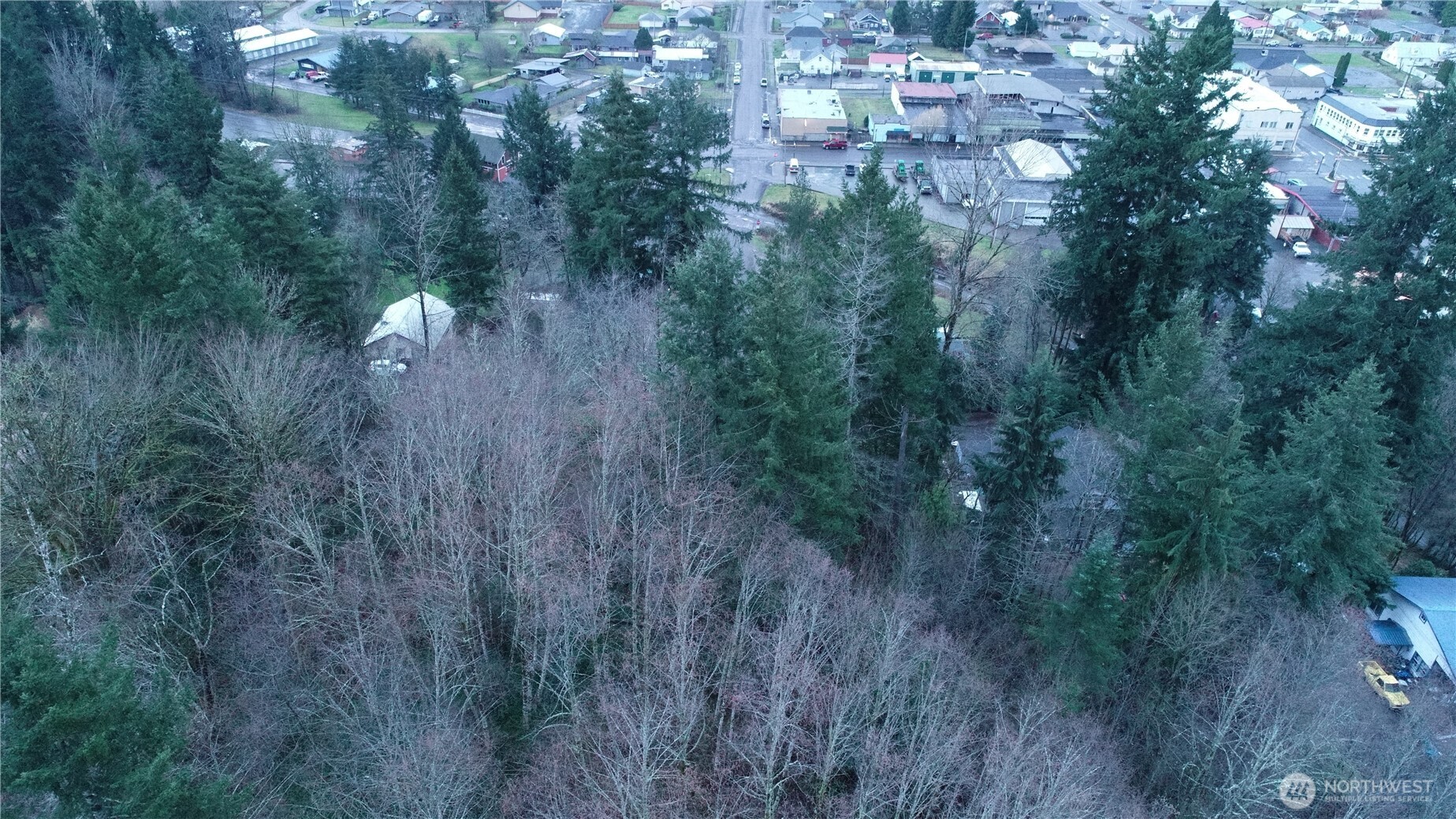 0 North 2nd Street Morton, WA 98356 - Photo 12 of 17 a view of a forest with a house