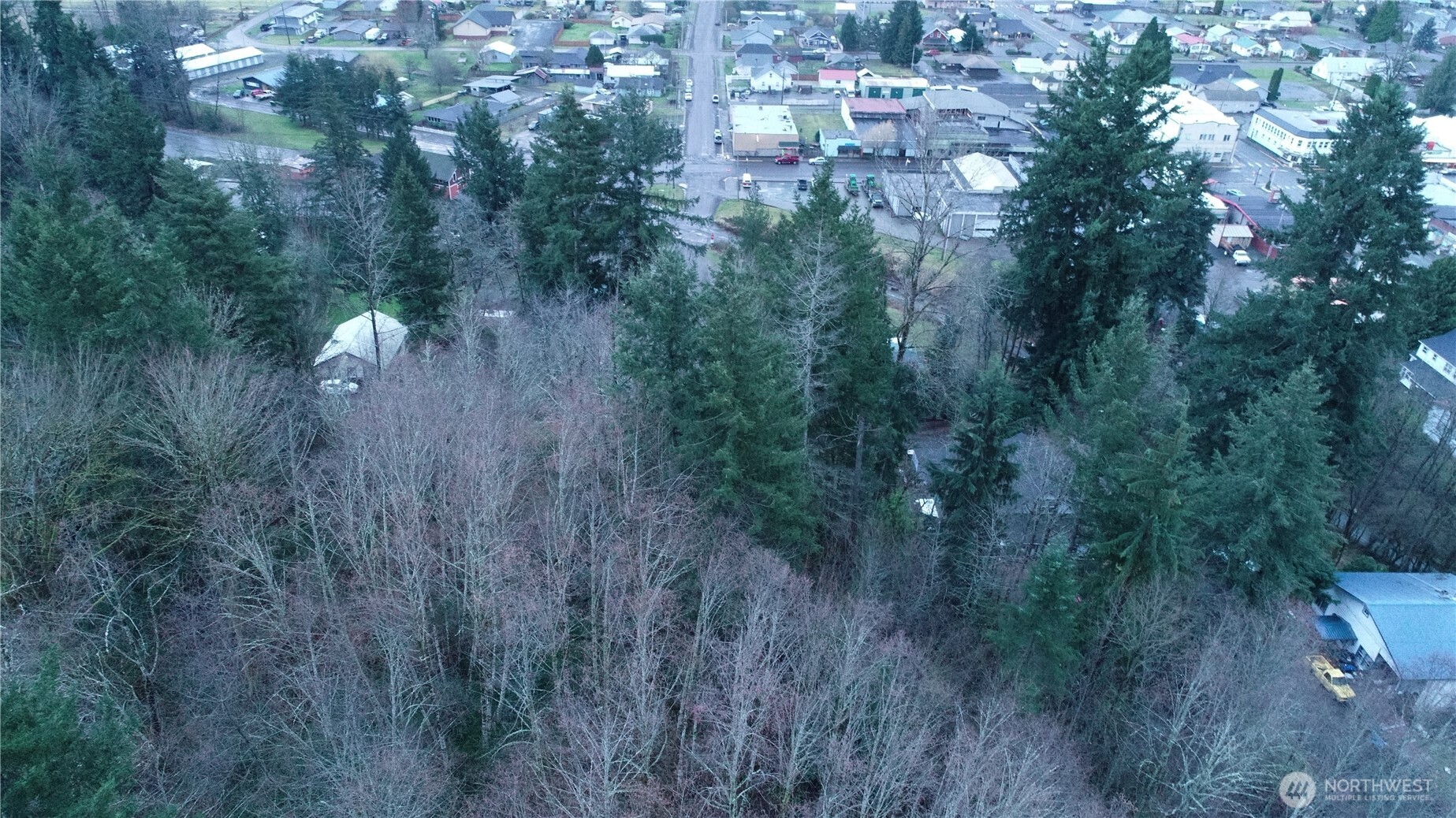 0 North 2nd Street Morton, WA 98356 - Photo 13 of 17 a view of a forest with a tree