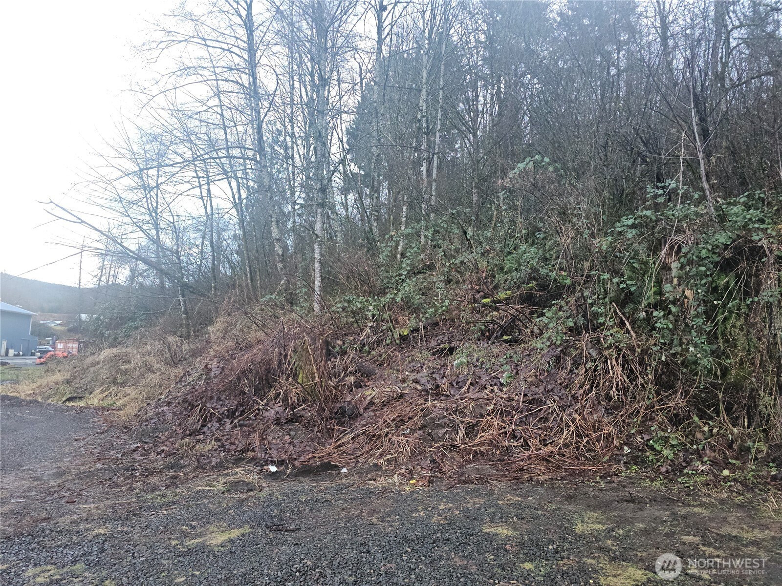0 North 2nd Street Morton, WA 98356 - Photo 17 of 17 a view of a forest with trees in the background