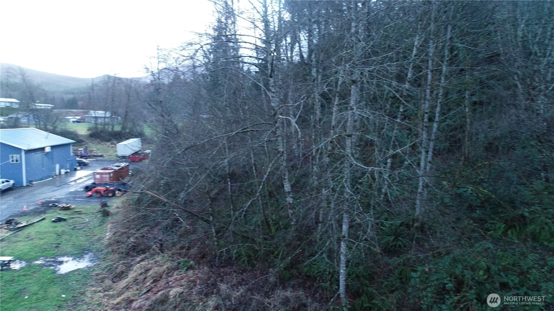 0 North 2nd Street Morton, WA 98356 - Photo 4 of 17 a view of a backyard with plants and trees