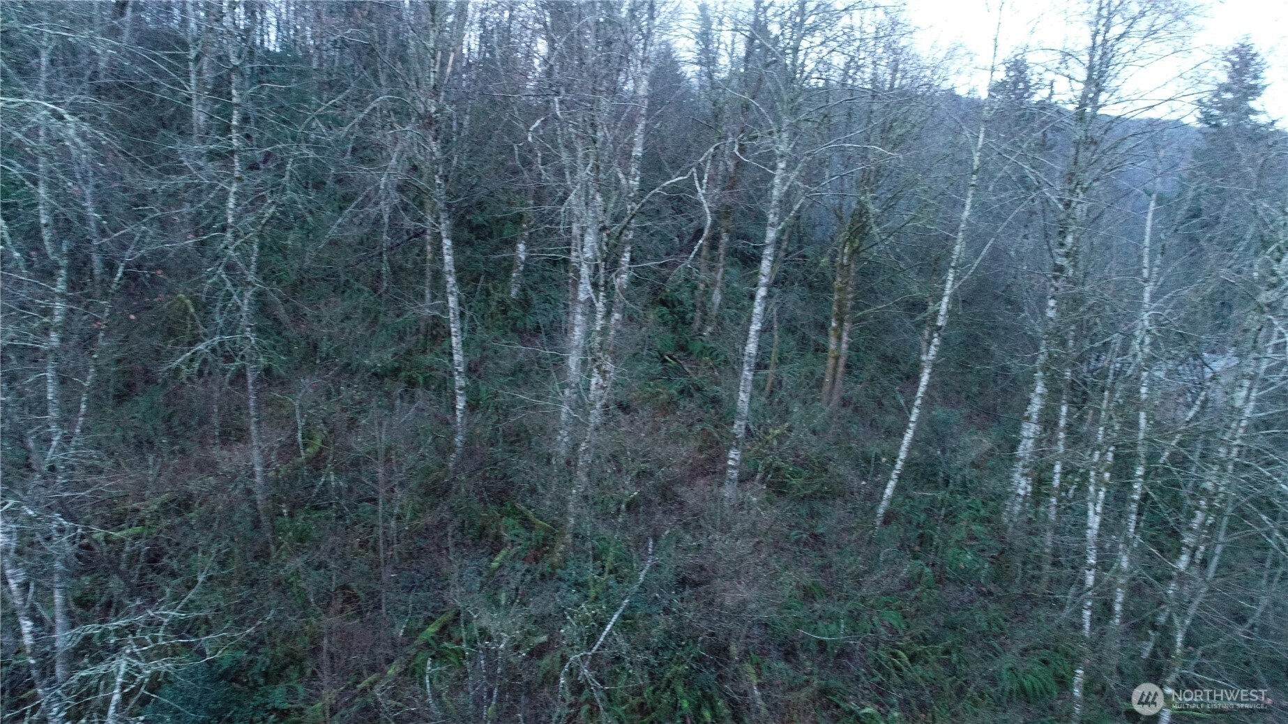 0 North 2nd Street Morton, WA 98356 - Photo 5 of 17 a view of a yard