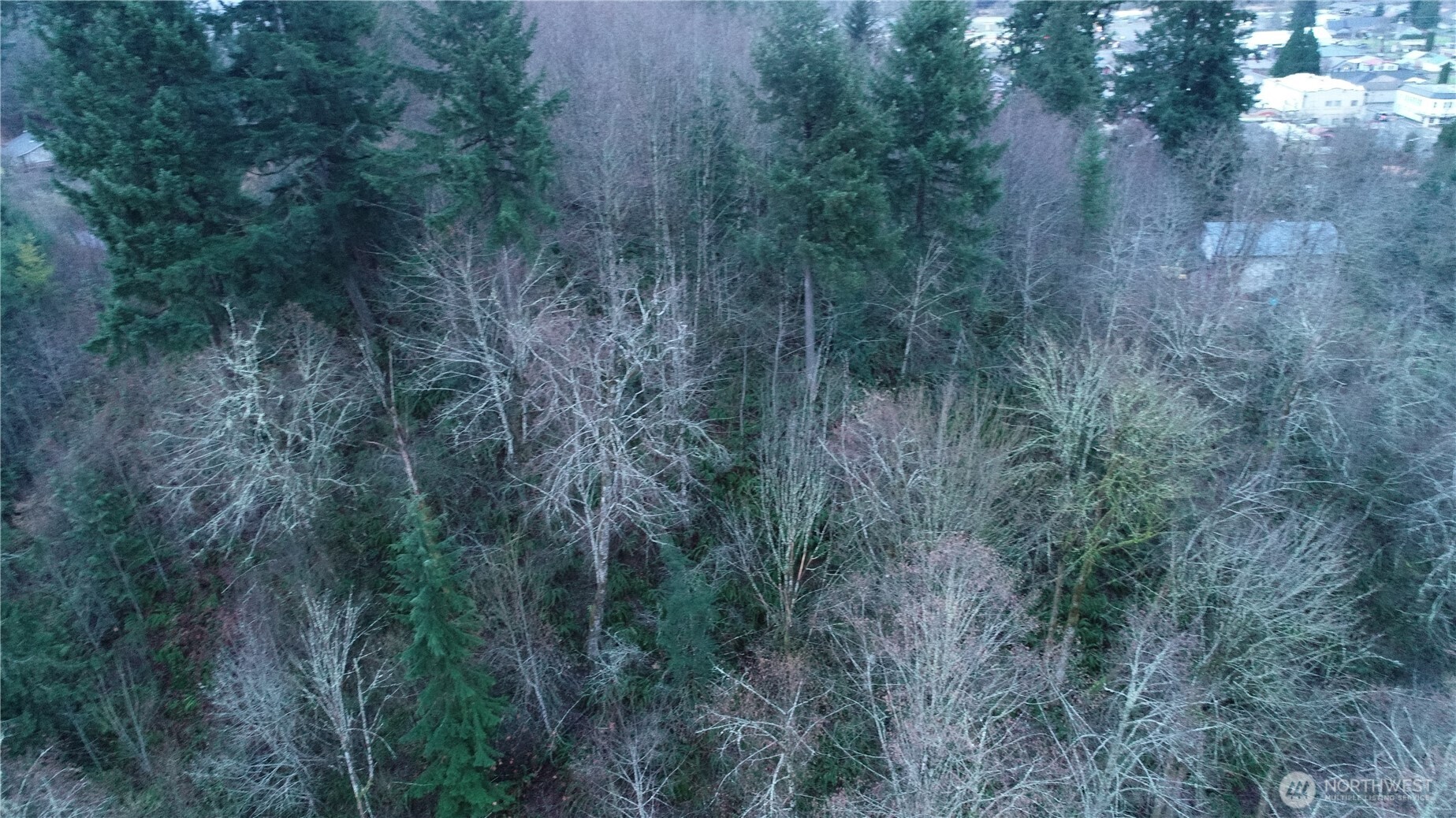 0 North 2nd Street Morton, WA 98356 - Photo 7 of 17 a view of a forest