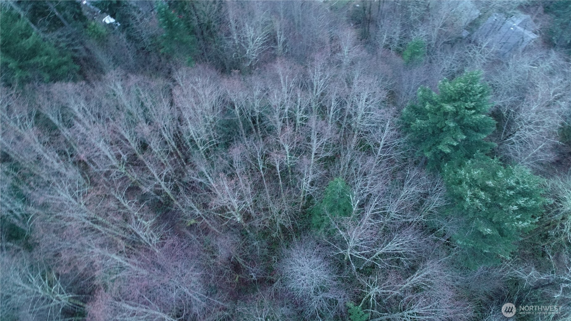 0 North 2nd Street Morton, WA 98356 - Photo 8 of 17 a view of a dry yard
