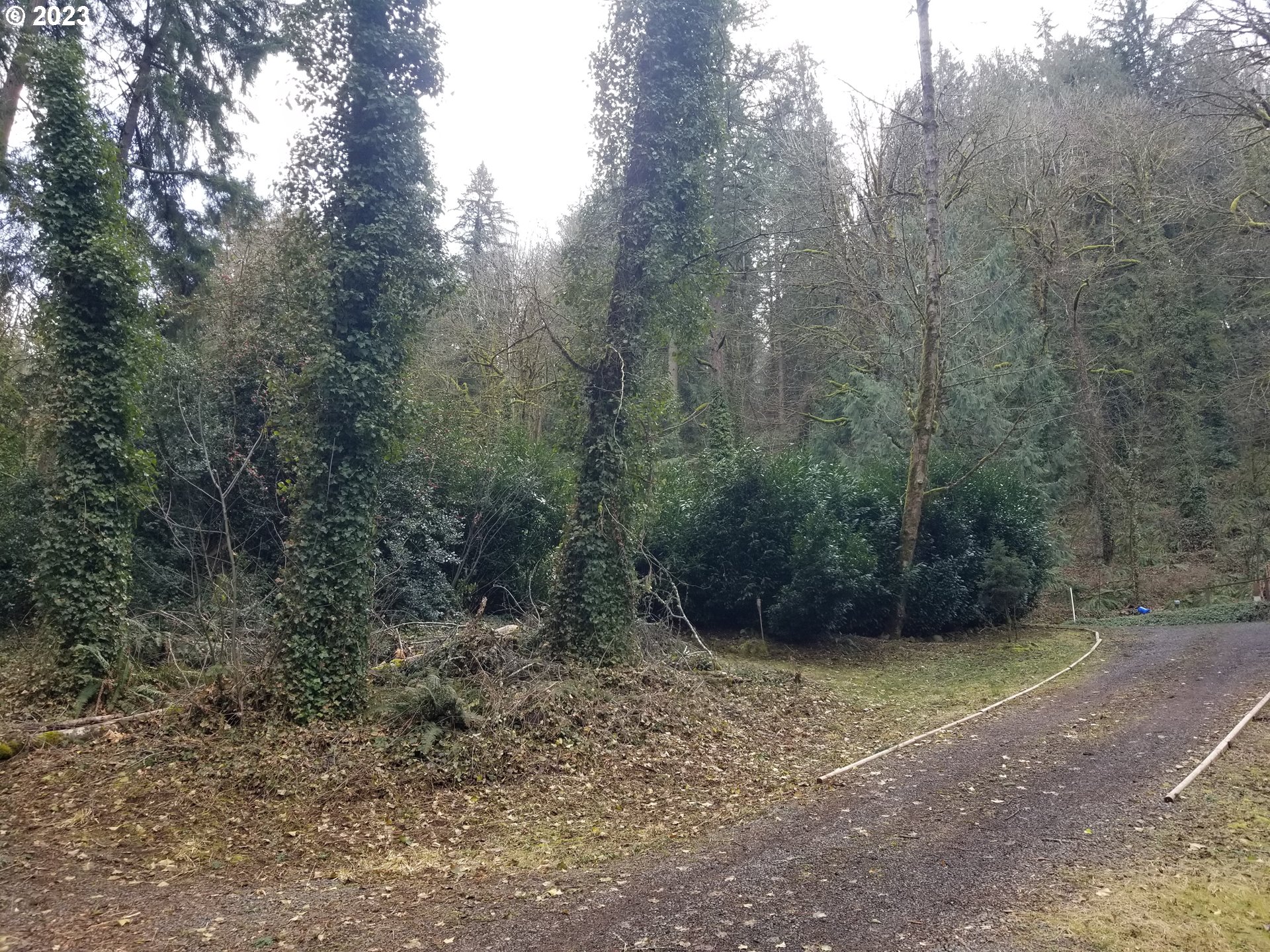17451 Southeast Ten Eyck Road Sandy, OR 97055 - Photo 10 of 35 Gallery Image 10