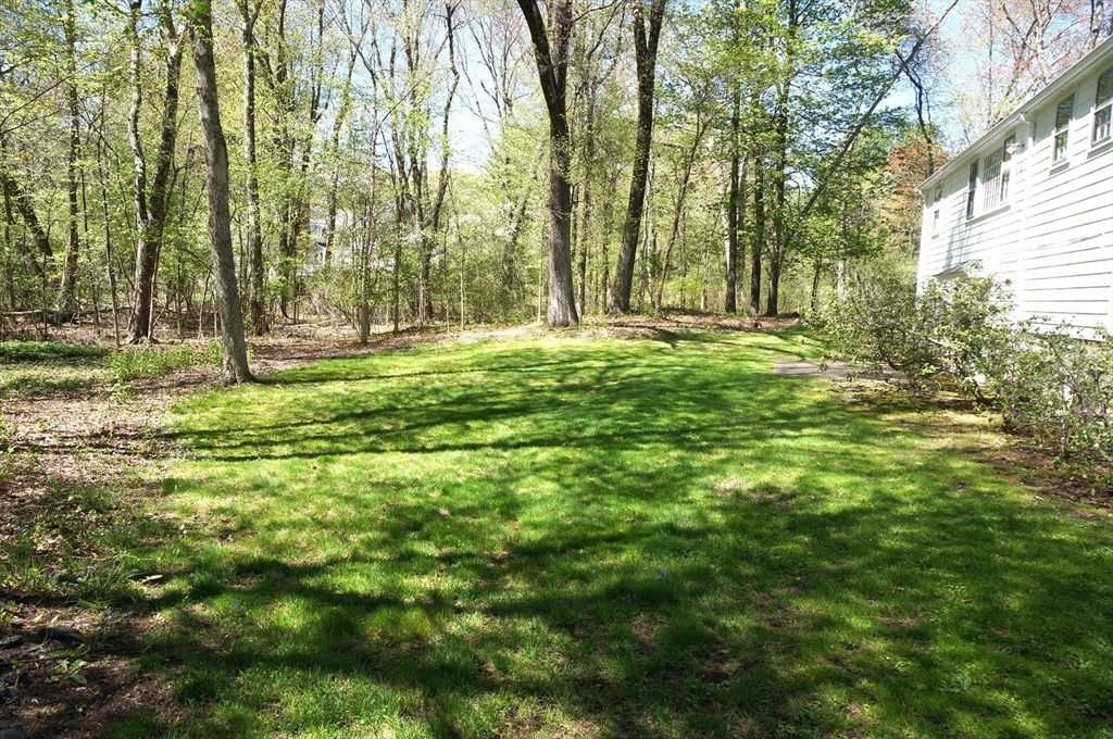 119 Pine Street, Unit SF Weston, MA 02493 - Photo 21 of 23