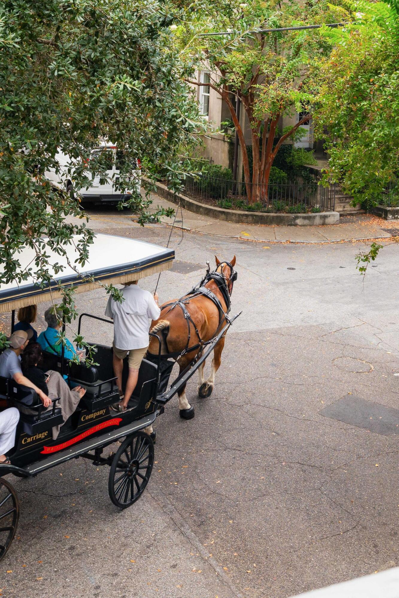 41 Legare Street, Unit B Charleston, SC 29401 - Photo 35 of 36 41 Legare B
