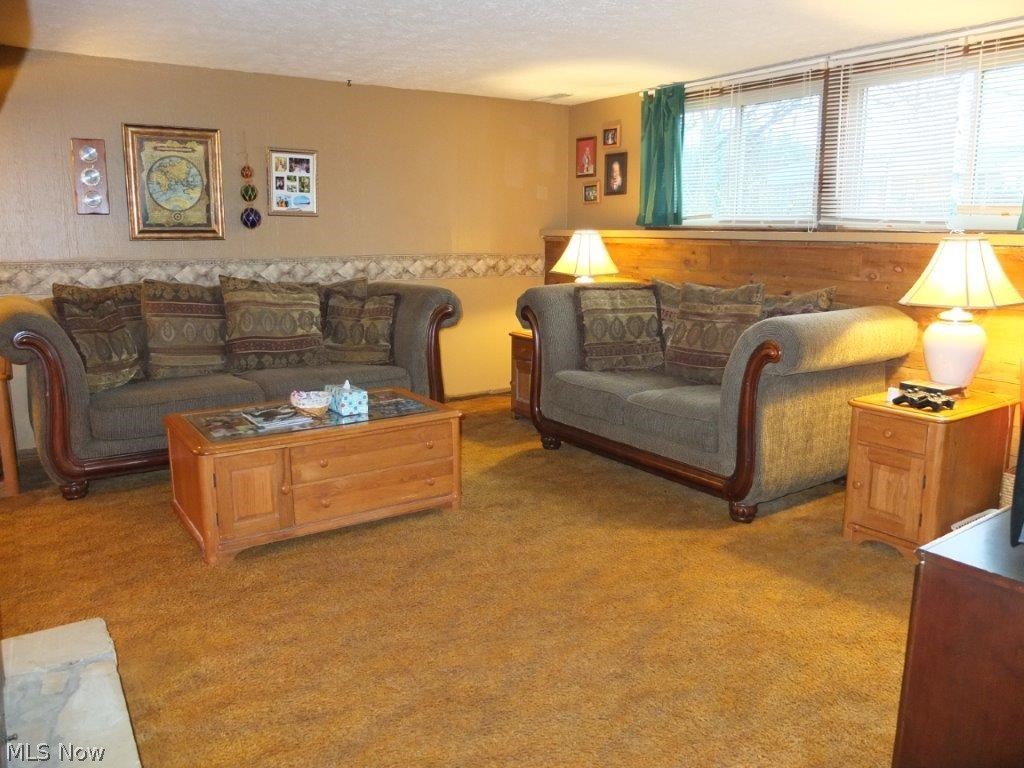 4623 5th Street Northwest Canton, OH 44708 - Photo 3 of 24 Family room on the lower level with a fireplace.