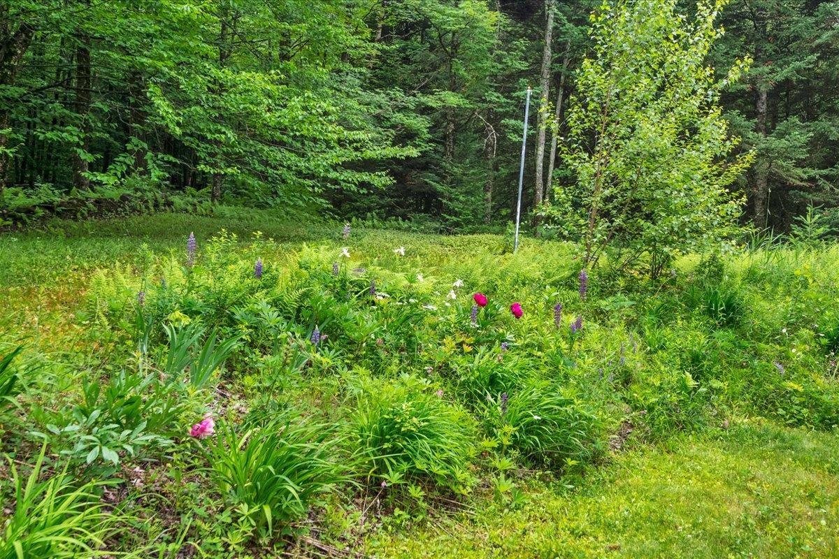3818 West Hill Road Montgomery, VT 05471 - Photo 48 of 53