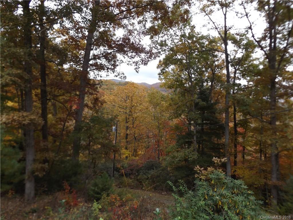 73 Flat Top Mountain Road Fairview, NC 28730 - Photo 4 of 16 Gallery Image 4