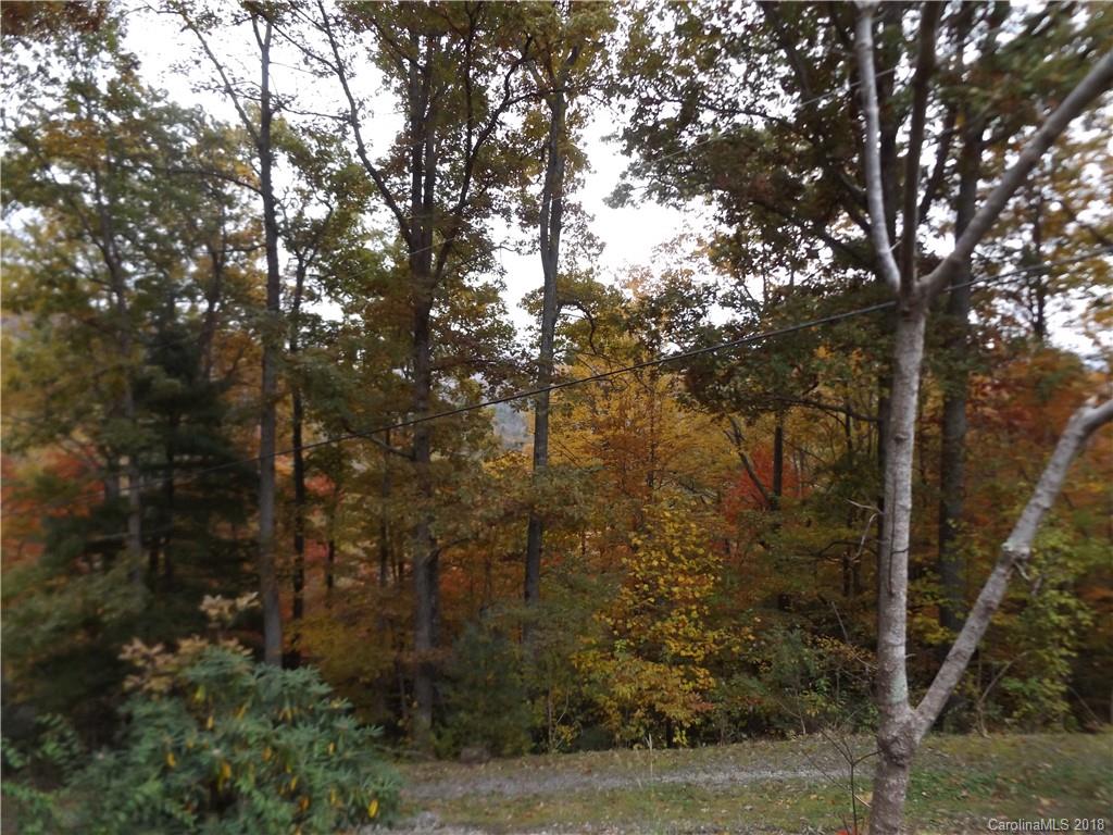 73 Flat Top Mountain Road Fairview, NC 28730 - Photo 5 of 16 Gallery Image 5