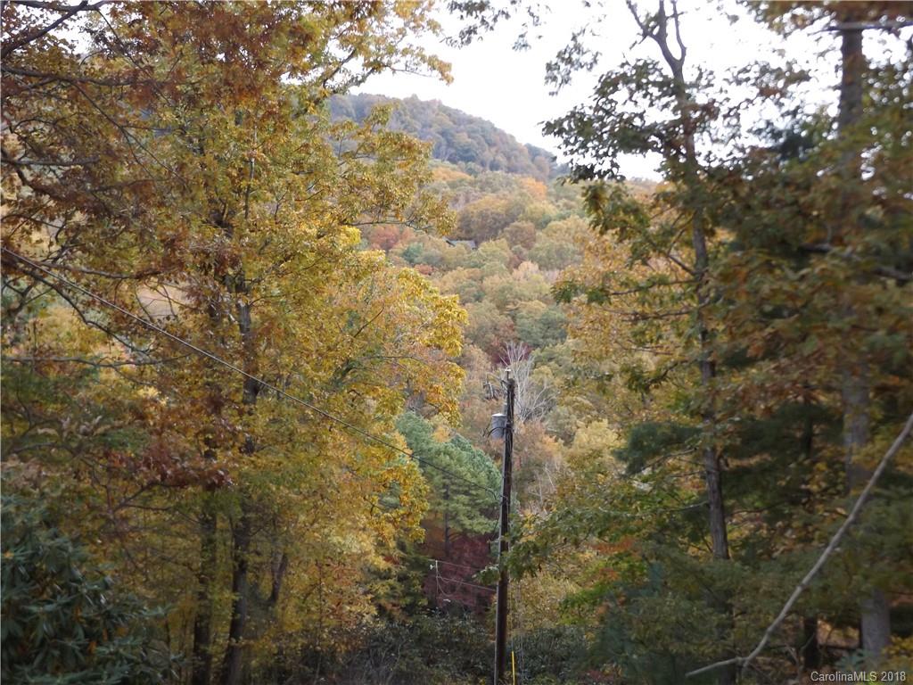 73 Flat Top Mountain Road Fairview, NC 28730 - Photo 8 of 16 Gallery Image 8