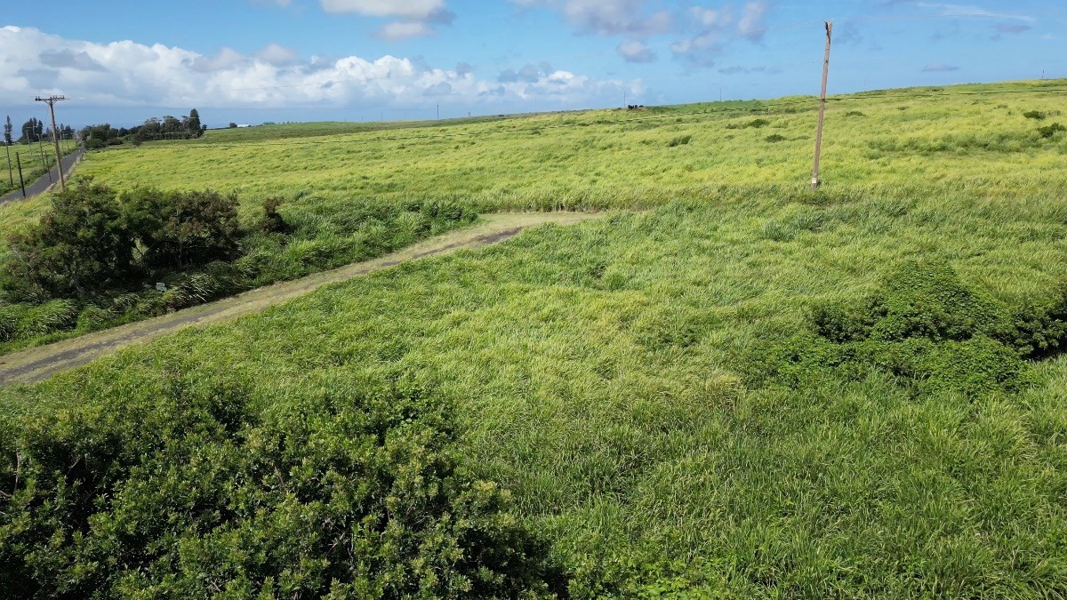 93-1775 Lot 3 South Point Road Captain Cook, HI 96704 - Photo 11 of 16 Gallery Image 11